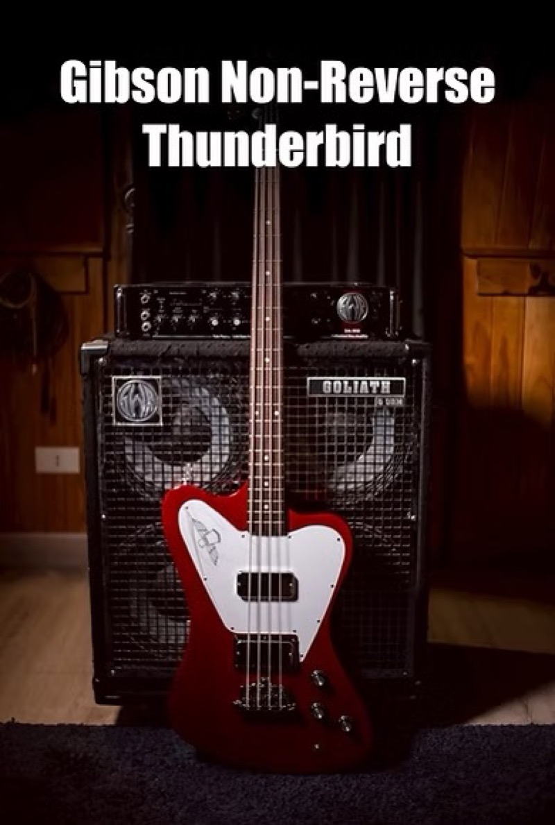Gibson Non-Reverse Thunderbird