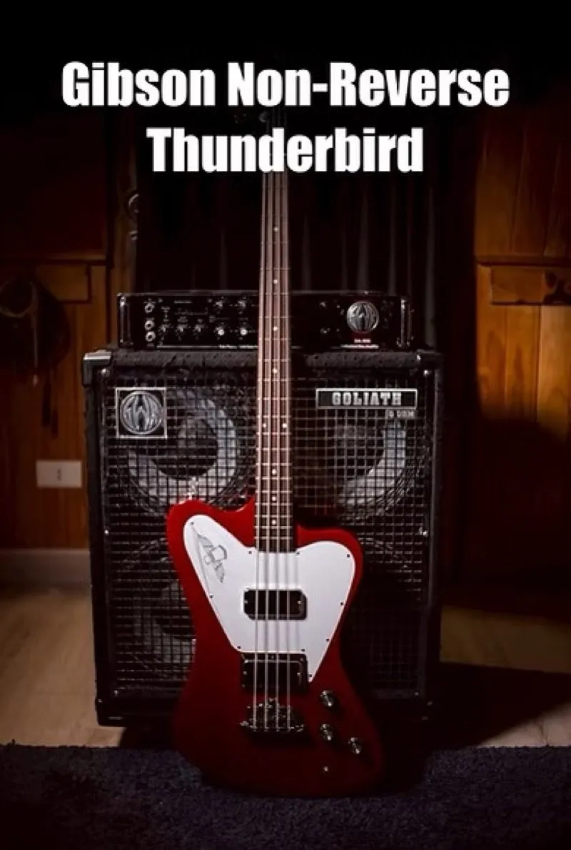 Gibson Non-Reverse Thunderbird